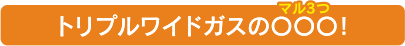 トリプルワイドガスの○○○!