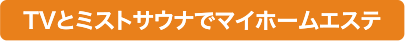 TVとミストサウナでマイホームエステ